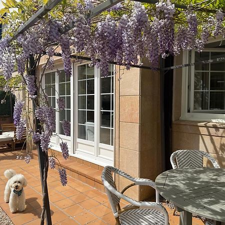 Bakea Apto Con Jardin Privado Bakio Luaran gambar