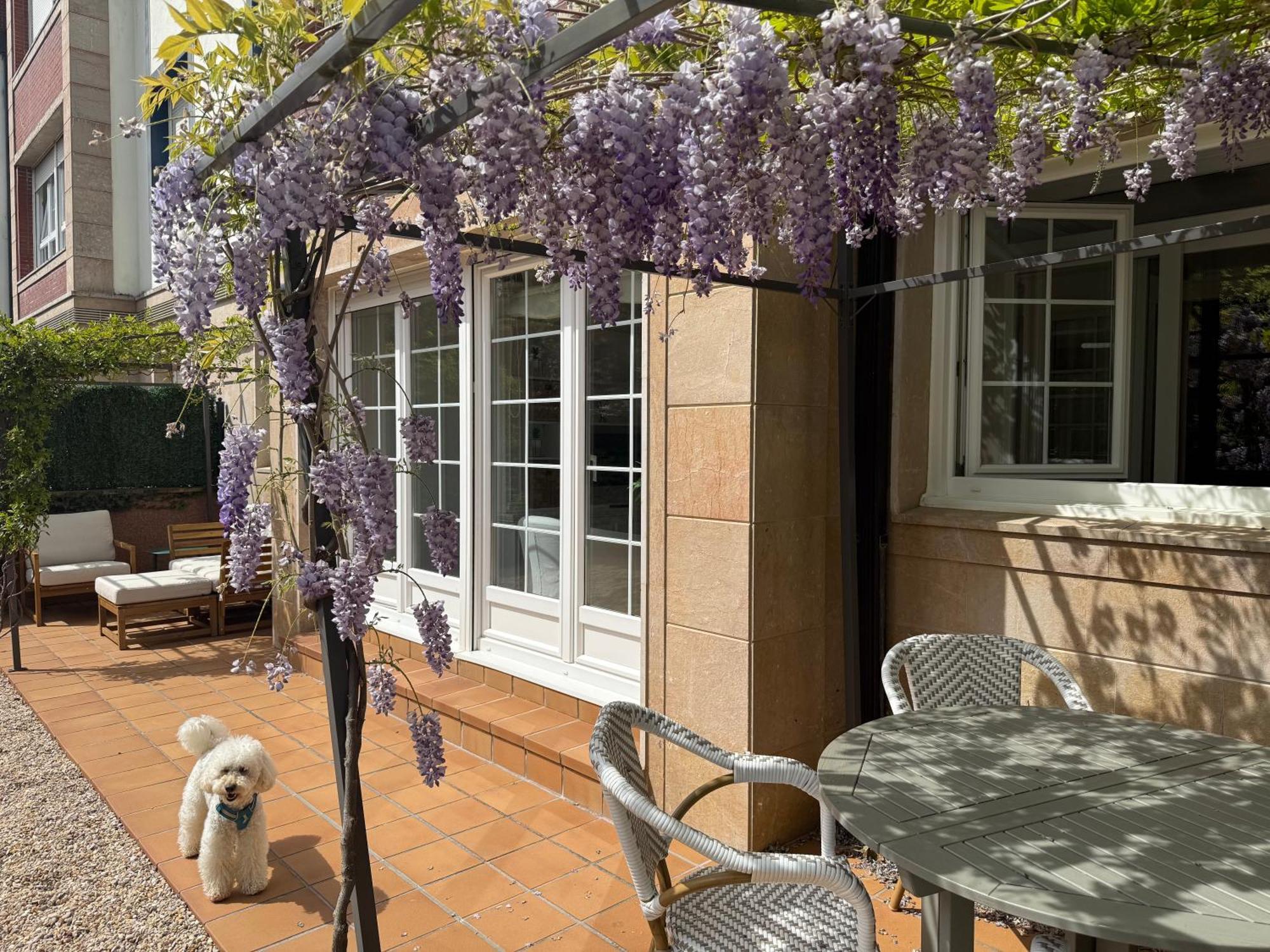 Bakea Apto Con Jardin Privado Bakio Luaran gambar